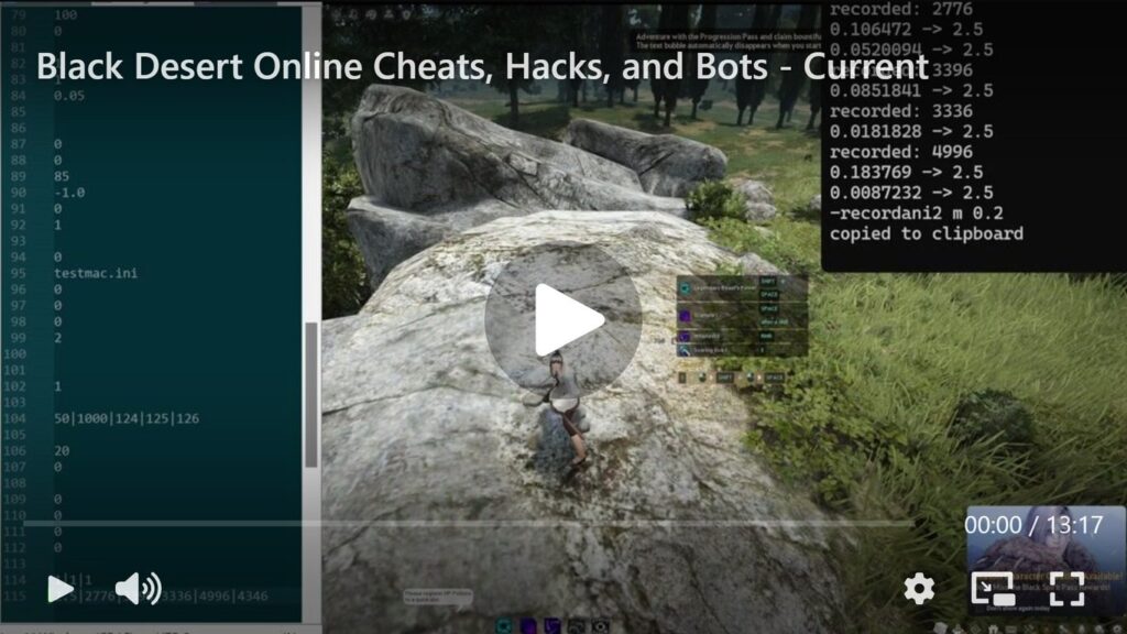 Black Desert Online Cheats, Hacks, Scripts, & Bots